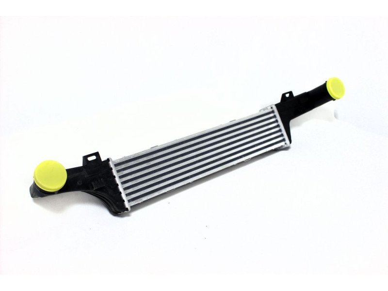 Інтеркулер Mercedes E-class W210 (AVA) 2105000400, A2105001300