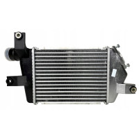 Інтеркулер Mitsubishi L200 05-15 (AVA) MN135001