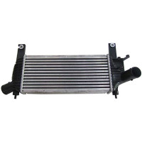 Інтеркулер Nissan Navara, Pathfinder 05-13 (AVA) 14461-EB360