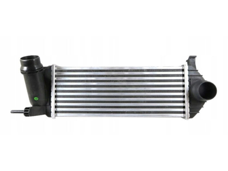 Інтеркулер Renault Kangoo 2, Mercedes Citan (AVA) 144961489R, A4150900014