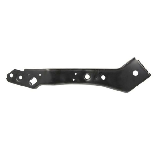 Окуляр передній правий Renault Megane 3 2009-2014 FPS 625125608R