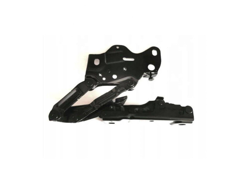 Петля капота права BMW X5 G05 18-, X6 G06 19- (Тайвань) 41009477742