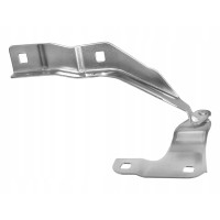 Петля капота права Ford Explorer 19- (Тайвань) LB5Z16796A, 2499298