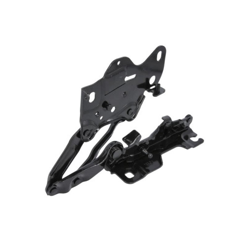 Петля капота права BMW X3 G01, X4 G02 2017-2024 FPS 41617475792