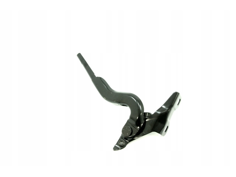 Петля капота права Citroen C-Elysee, Peugeot 301 2013-2026 FPS 9674797180