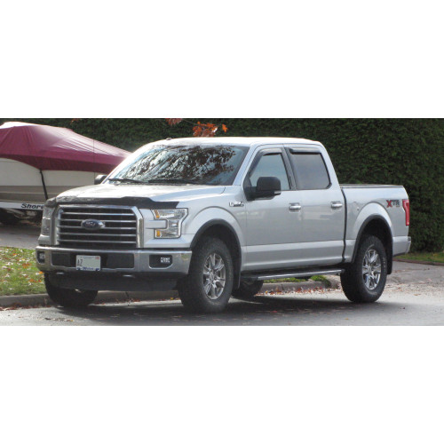 Протитуманна фара ліва (H10) Ford F-150 2015-2017 без лампи DEPO FL3Z15201B