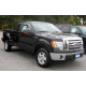 Протитуманна фара ліва/права (H10) Ford F-150 2010-2014 без лампи DEPO BL3Z-15200-A