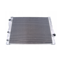 Радіатор охолодження двигуна BMW X5 F15, X6 F16 (AVA) 17118654431