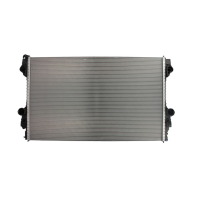 Радіатор охолодження двигуна Porsche Panamera 970 09-16 (FPS) 97010613103