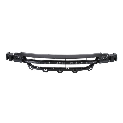 Решітка переднього бампера нижня BMW 1 F20 2011-2015 FPS 51117245733