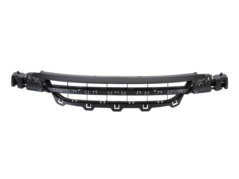 Решітка переднього бампера нижня BMW 1 F20 2011-2015 (FPS) 51117245733