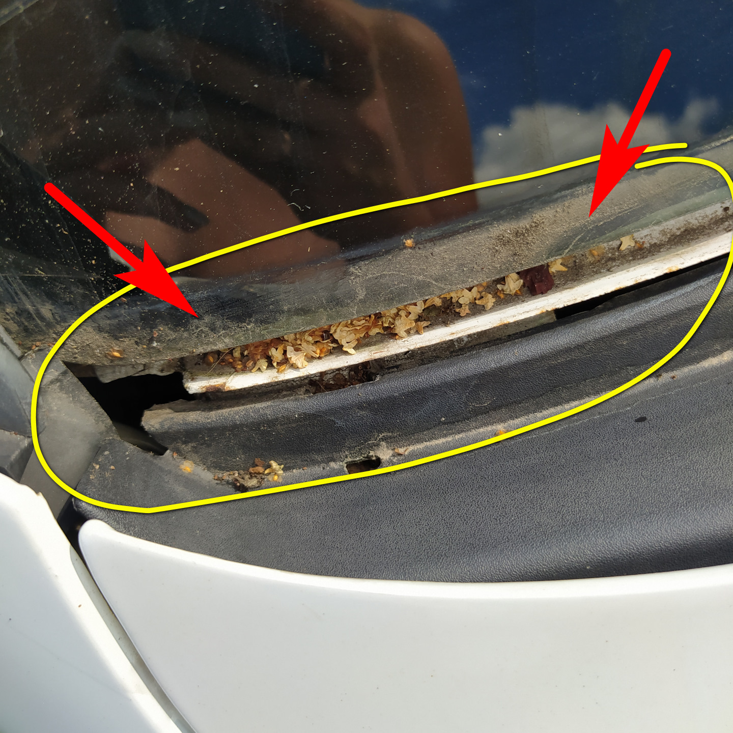 місце встановлення молдингу скла астра джи